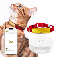 Pet Supplies  Cats  Collars, Harnesses & Leashes  Collars