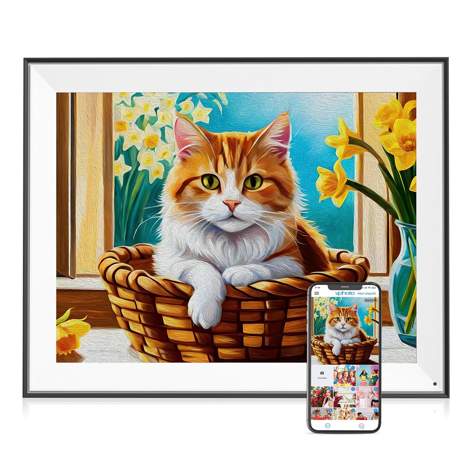 Electronics  Cameras & Photography  Accessories  Digital Picture Frames