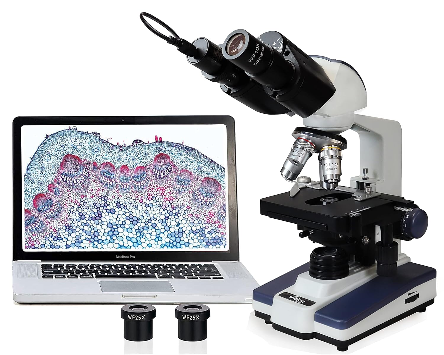 Electronics  Cameras & Photography  Binoculars, Telescopes & Optics  Microscopes  Compound Microscopes