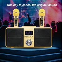 PUSOKEI Karaoke Machine, Portable Karaoke Speakers with 2 Wireless Microphones, Wireless Speaker System for KTV at Home, Gift for Adults and Kids