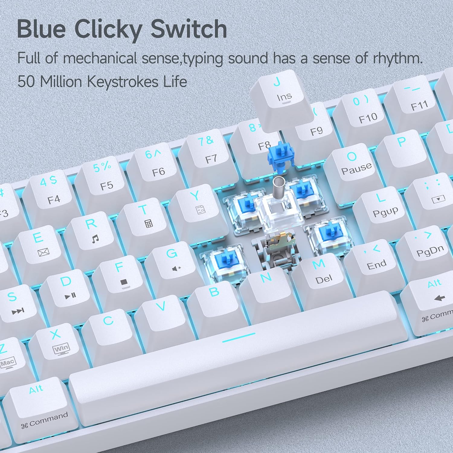 DIERYA DK61SE 60% Mechanical Gaming Keyboard, 61 Keys Anti-Ghosting, LED Backlight, Detachable USB-C, Ultra-Compact Mini Wired Keyboard with Blue Clicky Switch for Windows Laptop PC Gamer Typist