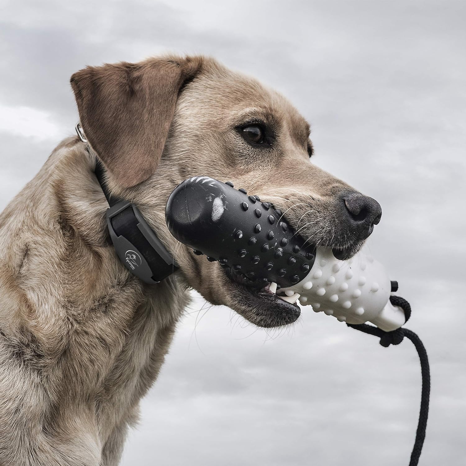 SportDOG Brand FieldTrainer 425X/SportHunter 825 Add-A-Dog Collar - Additional, or Extra Collar for Your Remote Trainer - Waterproof and Rechargeable with Tone, Vibration, and Static