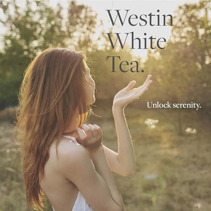 Elevate Your Space with the Refreshing Aroma of Westin – In Use