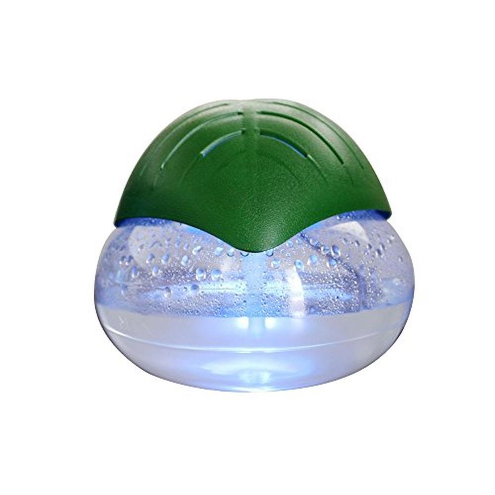 Revitalize Your Space with EcoGecko Green Leaf Air – Front View