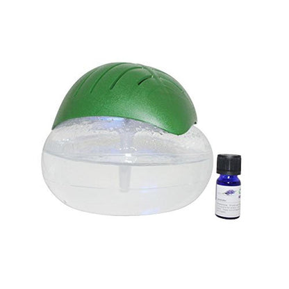 Revitalize Your Space with EcoGecko Green Leaf Air – In Use