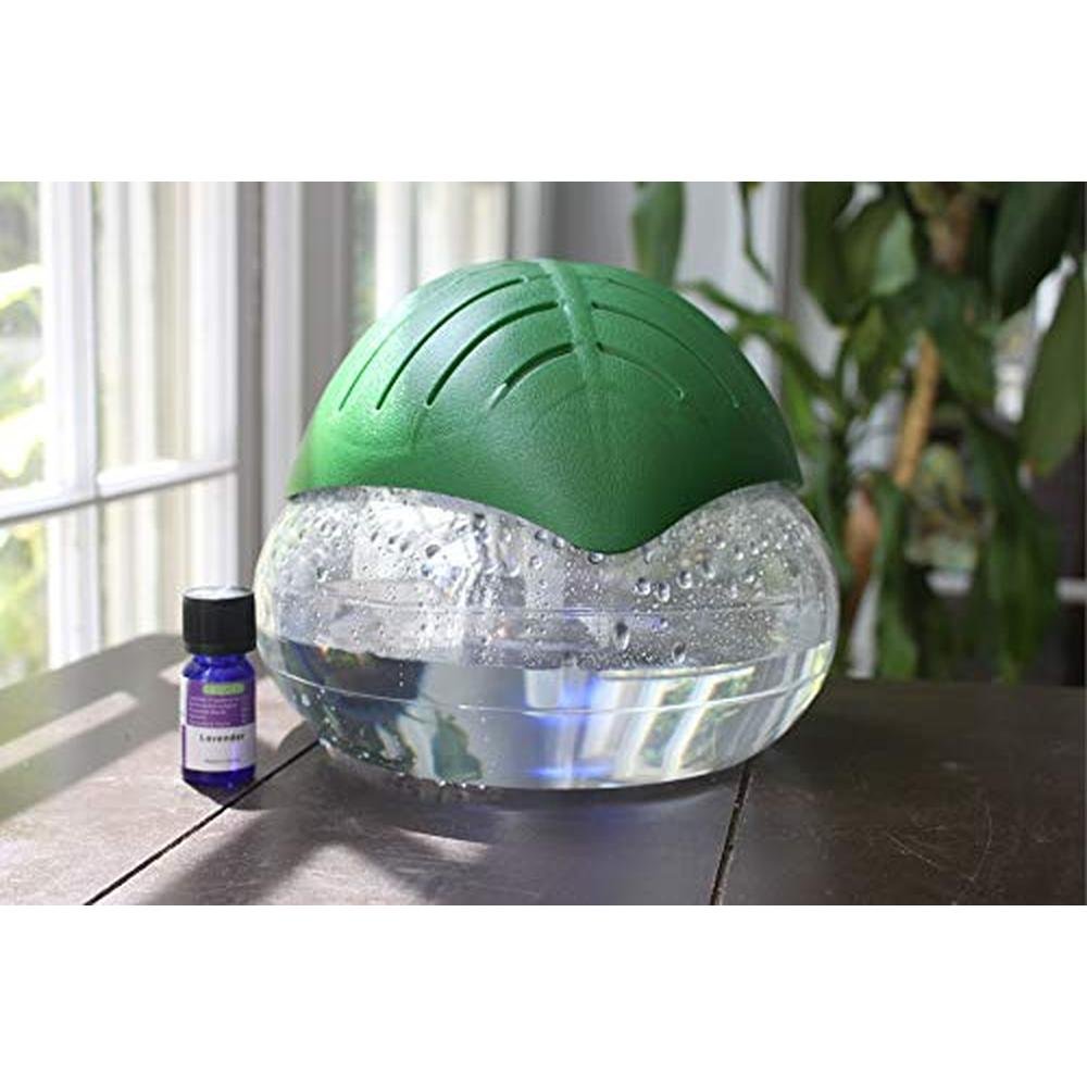 Revitalize Your Space with EcoGecko Green Leaf Air – Packaging