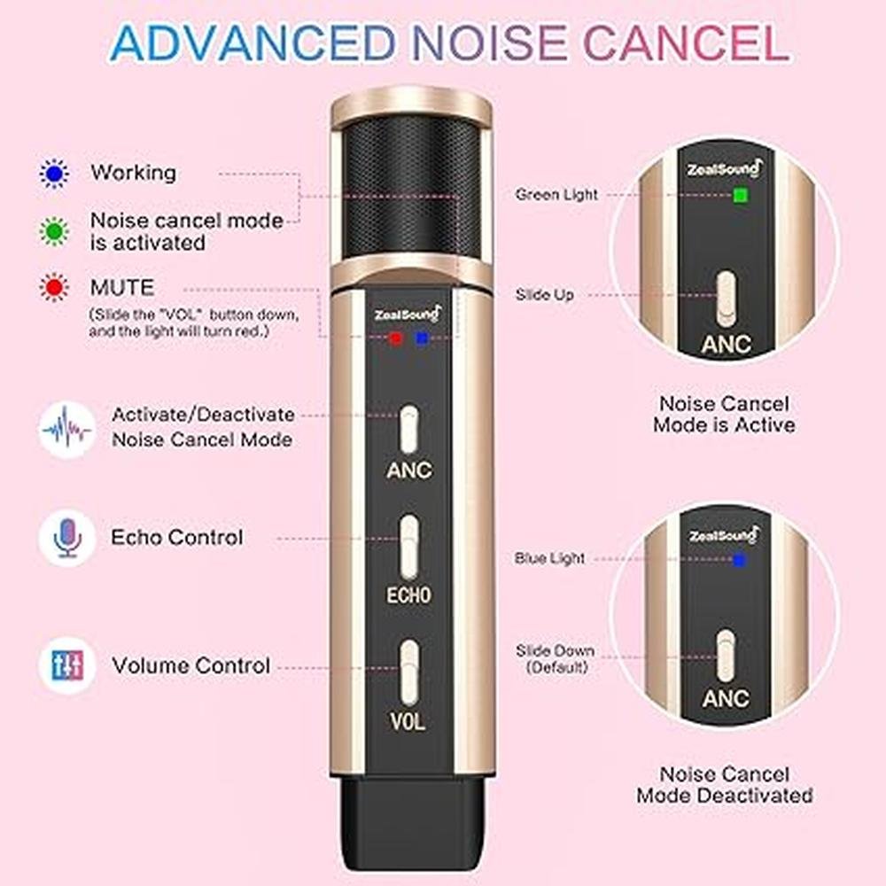 Microphone Recording: ZealSound Studio Condenser Broadcast – Close-up Detail