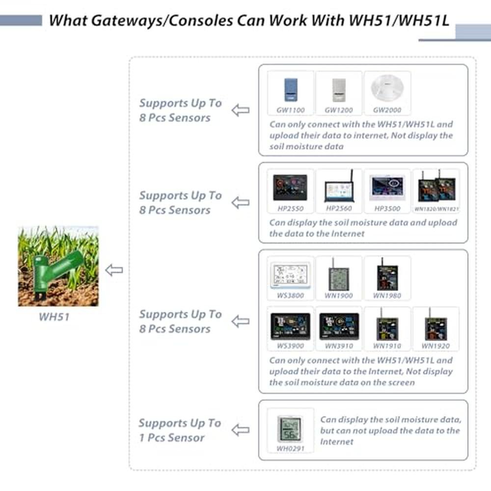Soil Moisture Monitoring: ECOWITT WH51 Soil Moisture Sensor – Close-up Detail