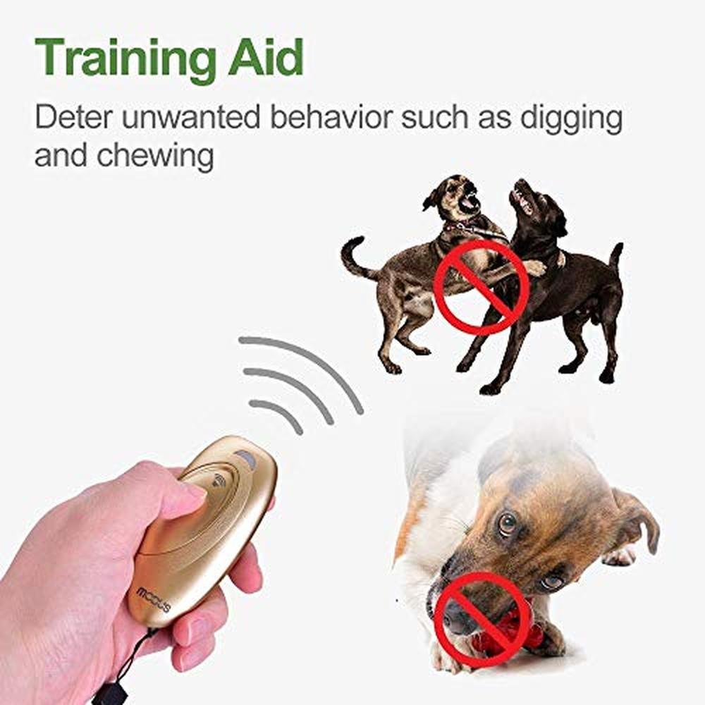 Barking Dog: MODUS Ultrasonic Dog Barking Deterrent 2-in-1 – In Use