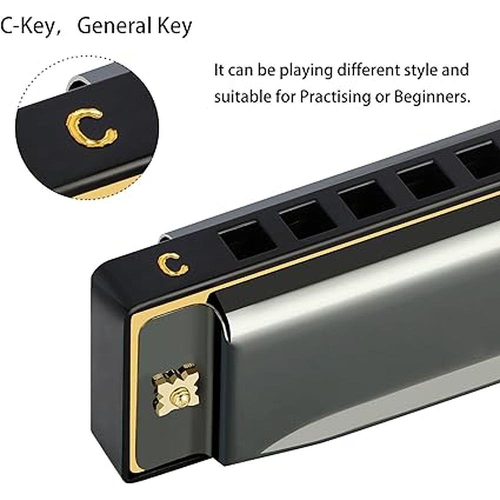Harmonica EastRock: EastRock Blues Harmonica 10-Hole – Close-up Detail