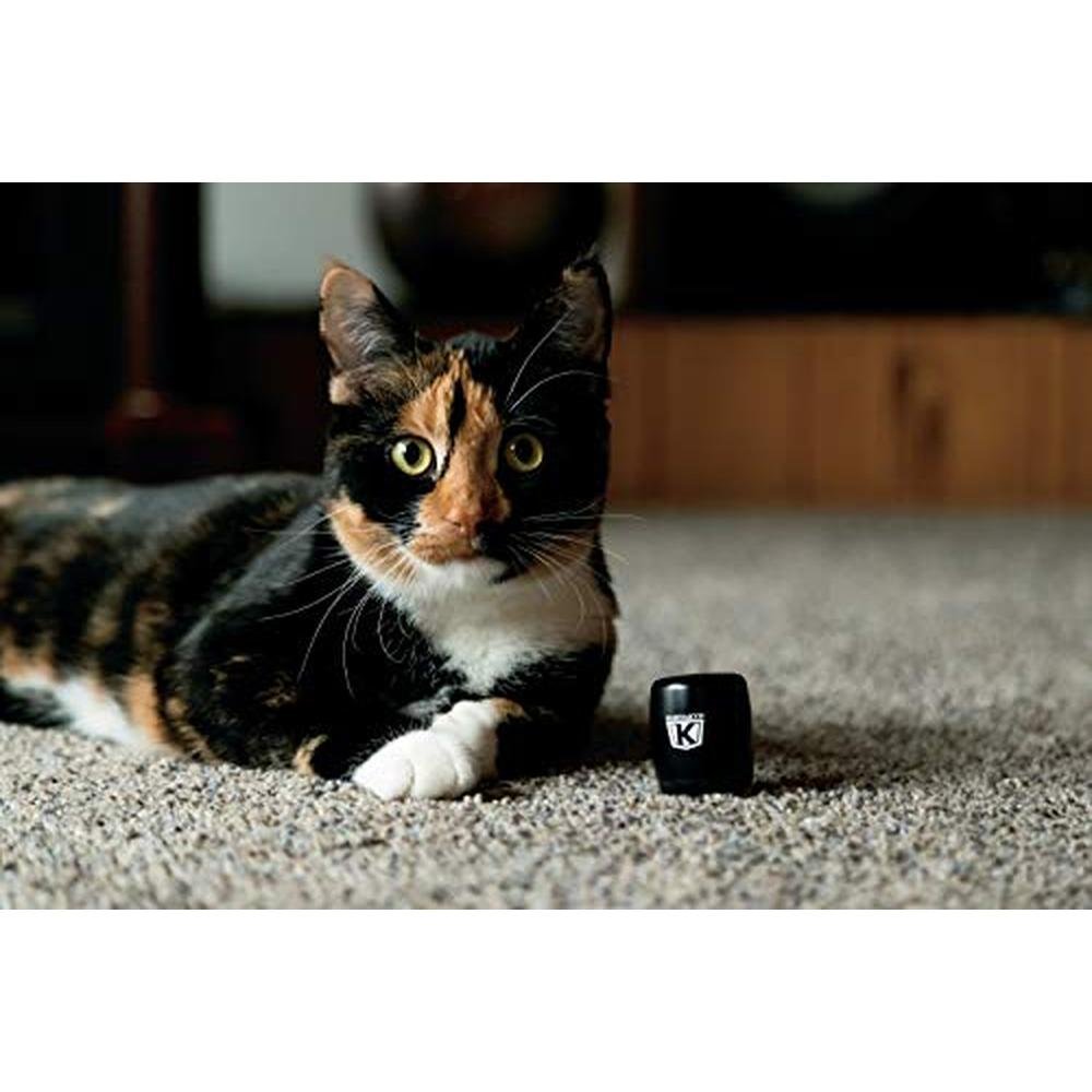 Kuryakyn 2204: Kuryakyn Sidekix Mini Speaker Wireless Audio – In Use