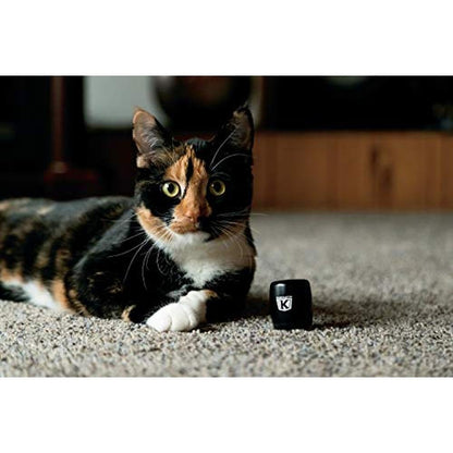 Kuryakyn 2204: Kuryakyn Sidekix Mini Speaker Wireless Audio – In Use