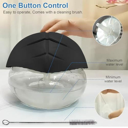 Air Pleasure: AP Airpleasure Water-Based Purifier – Packaging