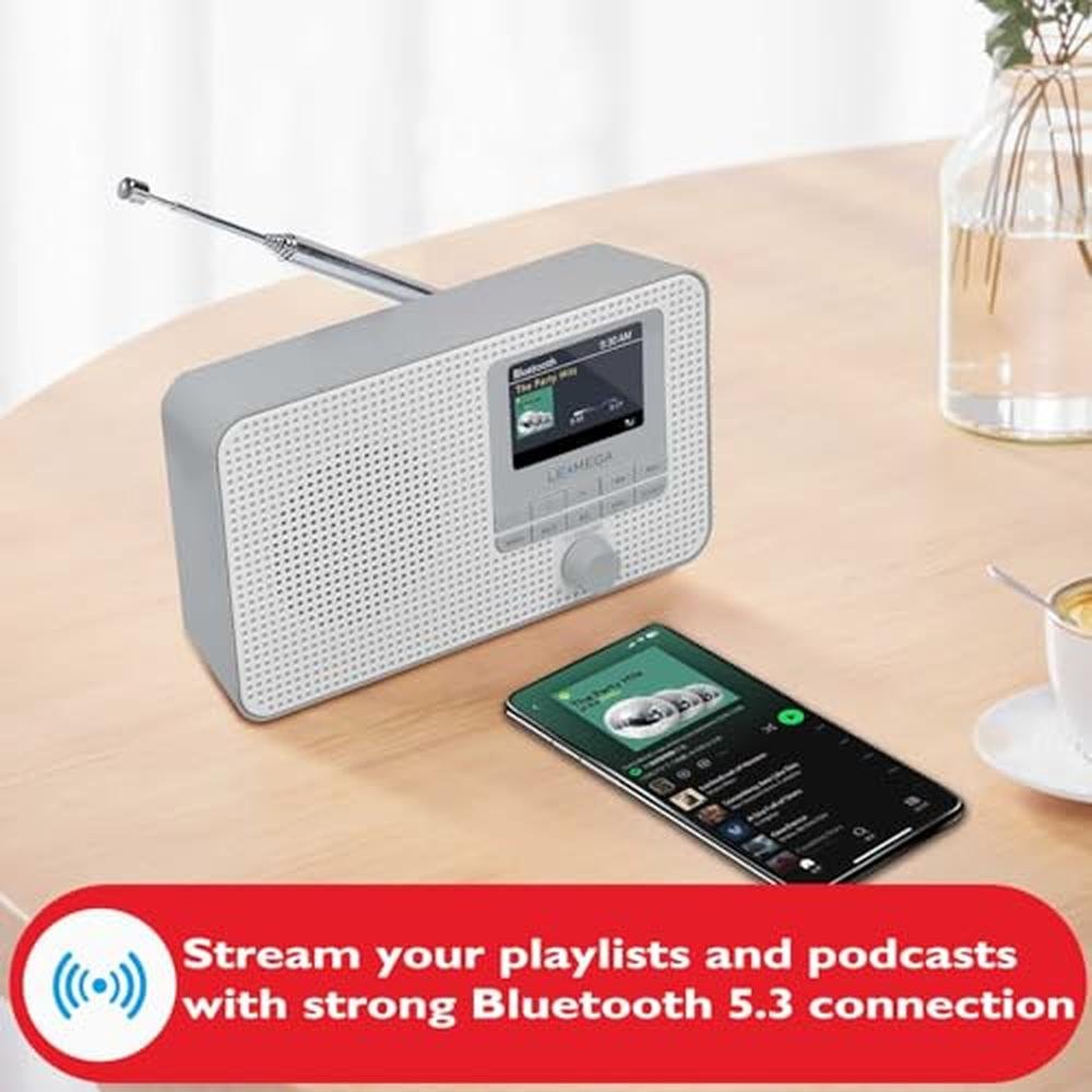 Radio LEMEGA: LEMEGA IR1 Portable WiFi Internet Radio FM – Side View
