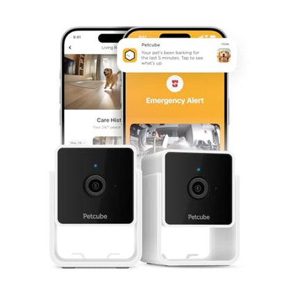 Video Petcube: Petcube Cam Indoor Wi-Fi Pet Security Camera – Front View