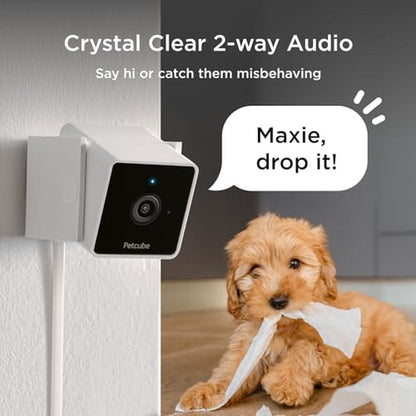 Video Petcube: Petcube Cam Indoor Wi-Fi Pet Security Camera – Close-up Detail