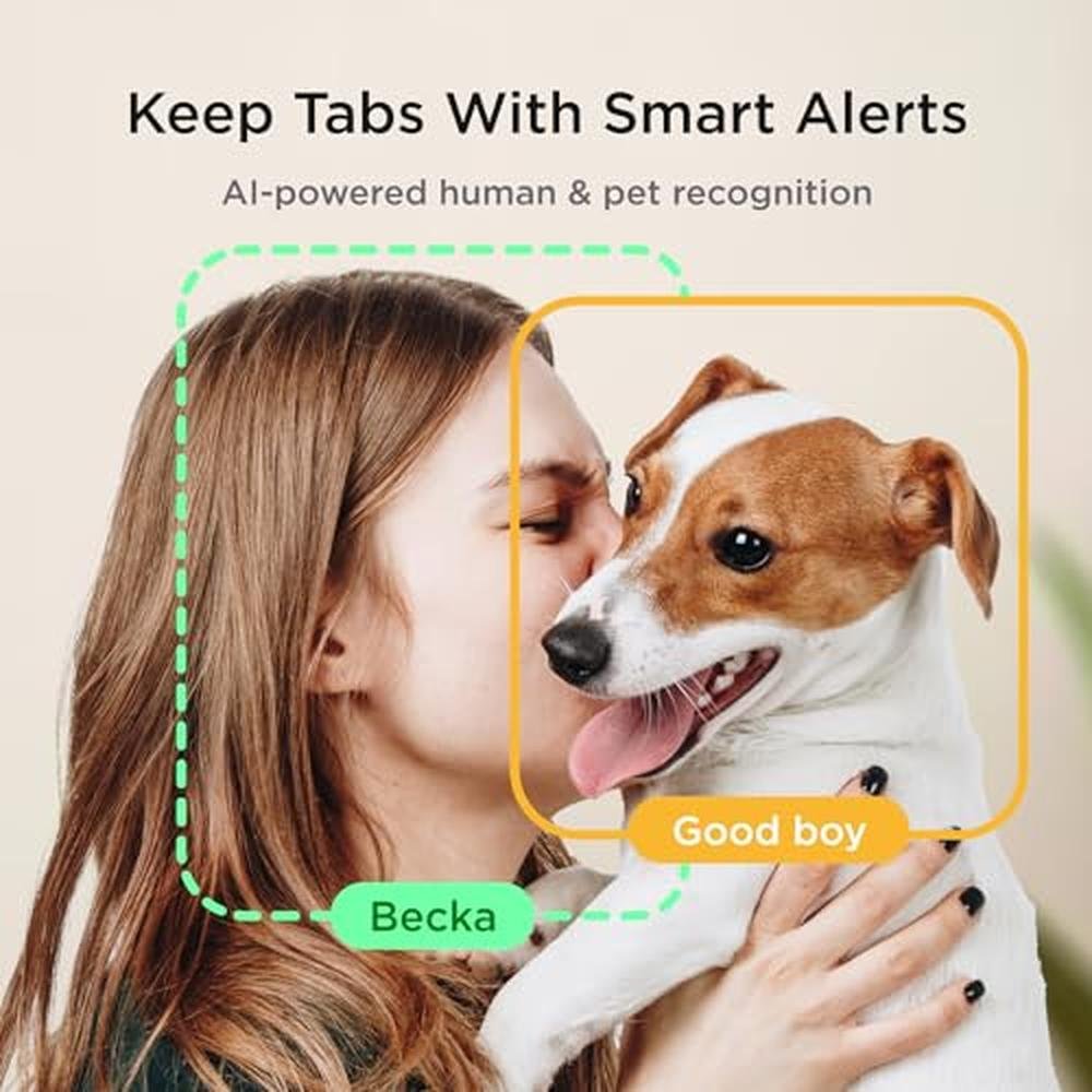 Video Petcube: Petcube Cam Indoor Wi-Fi Pet Security Camera – In Use