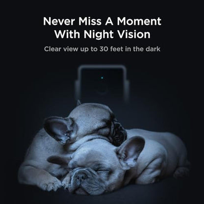 Video Petcube: Petcube Cam Indoor Wi-Fi Pet Security Camera – Packaging