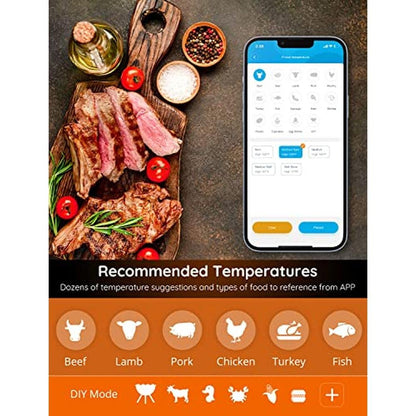 Thermometer Meat: Govee Wireless Meat Thermometer with 4 – In Use