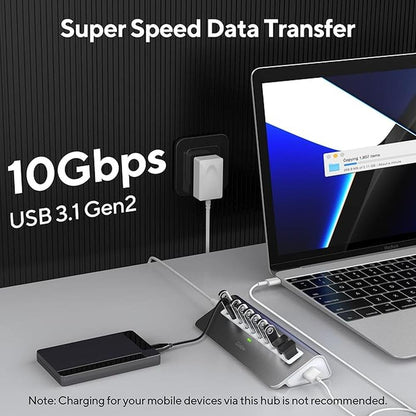 Powered USB Hub: intpw 10 Port USB 3.1 Hub with 10Gbps Data – Side View