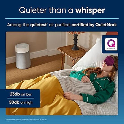 Air Purifier: Blueair Blue Pure 311i Max HEPASilent Smart – In Use