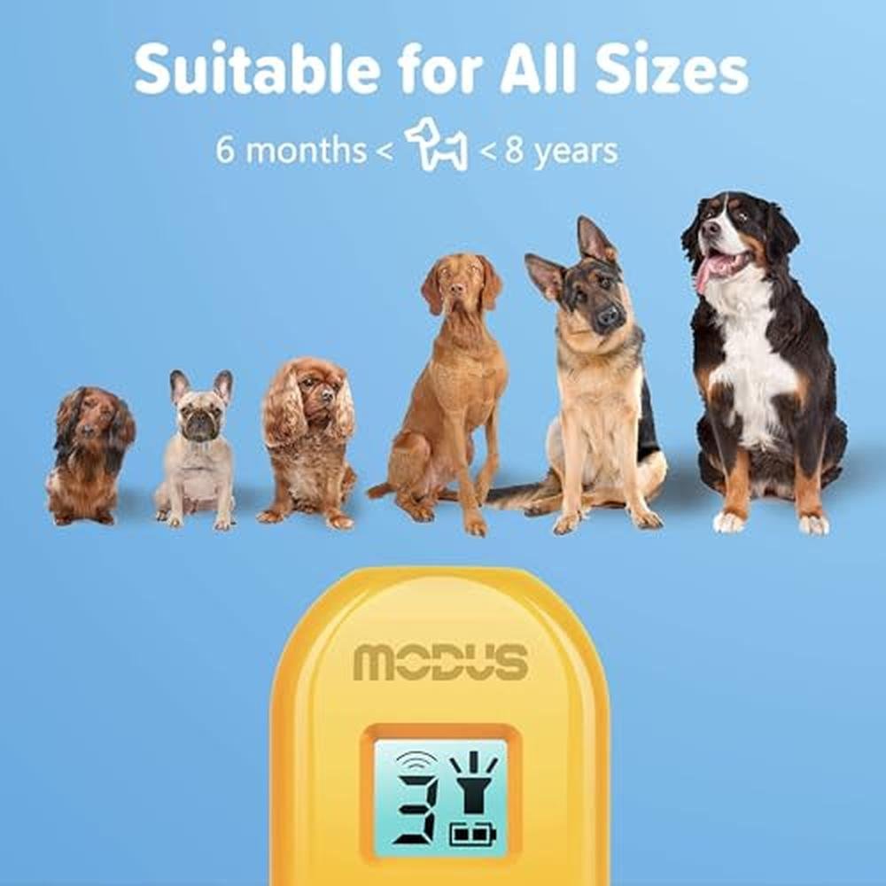 Barking Dog: MODUS M-239 Ultrasonic Bark Deterrent – Close-up Detail