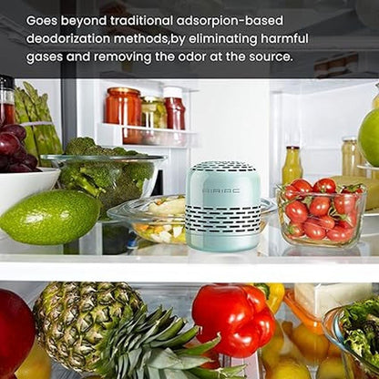 Fridge Deodorizer: AIRIAC 10-Year Refrigerator Deodorizer – Close-up Detail