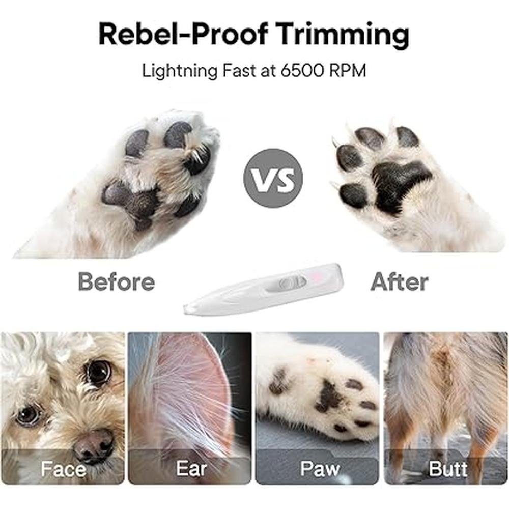 Dog Paw Trimmer: FURBONA Rechargeable Cordless Electric – In Use