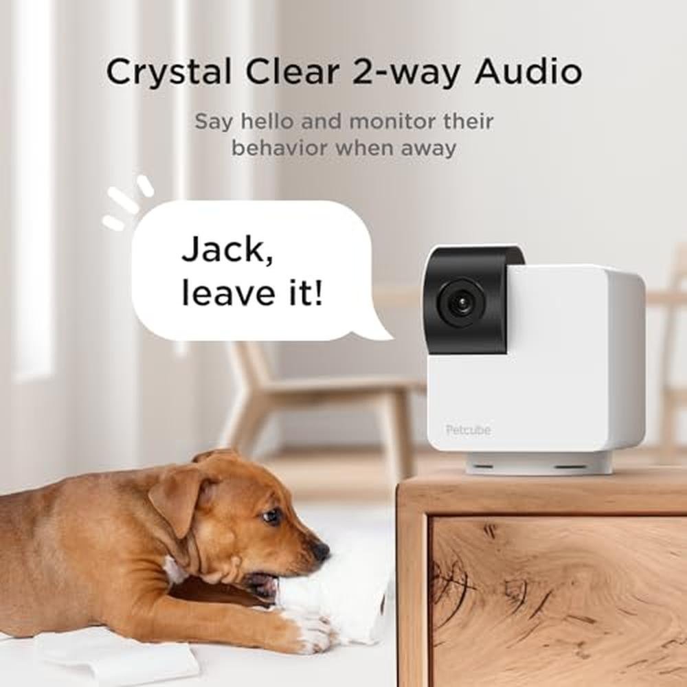 360 Camera: Petcube Cam 360 Interactive WiFi Pet and Home – In Use