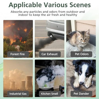 Vital 200S Pet Care Replacement Filter – Packaging