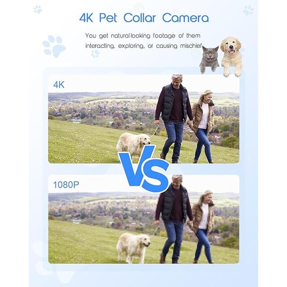 Yolansin 4K Cat Collar Camera – In Use