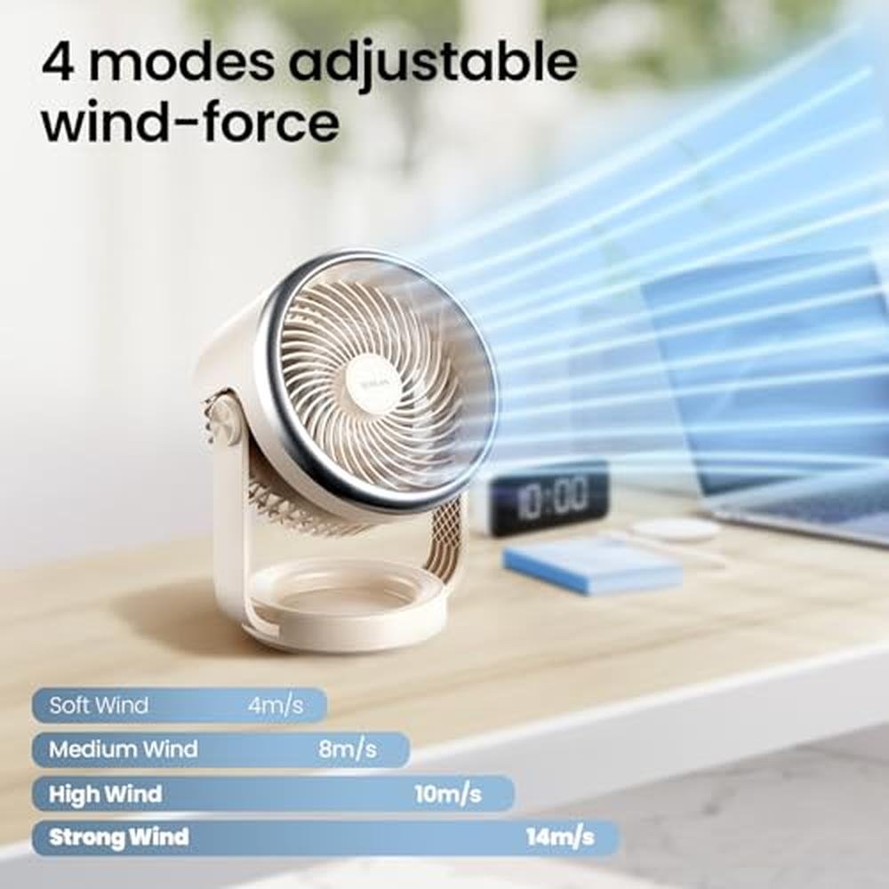 Fan Desk: 10-Inch Air Circulator – In Use