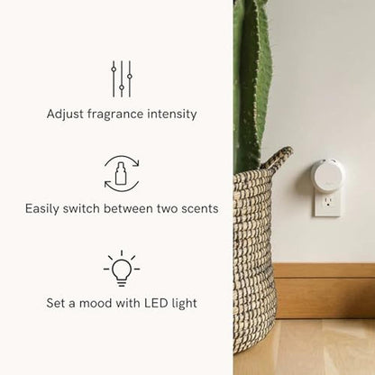 Smart Home Fragrance Diffuser Starter Set – Close-up Detail
