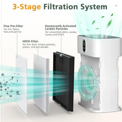 HY4866 Replacement Filter: Compatible with MORENTO HY4866 – Close-up Detail