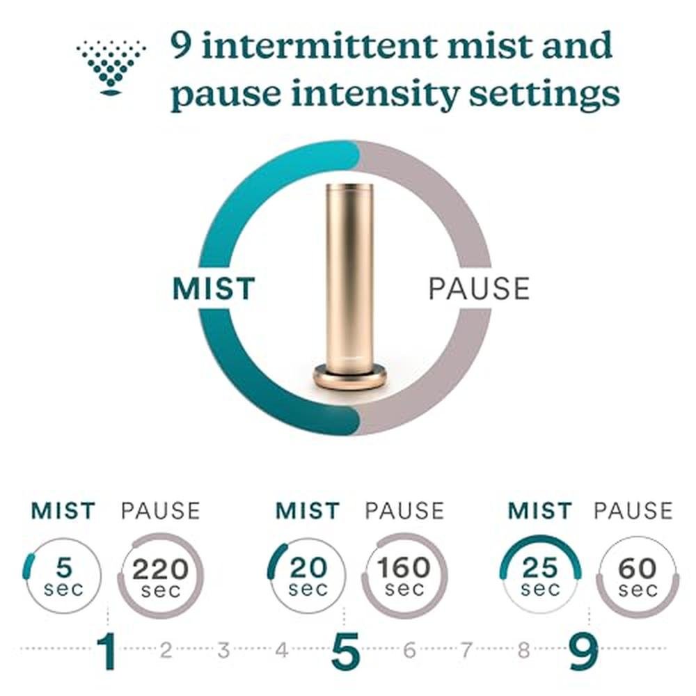 Waterless Home Fragrance Diffuser – In Use