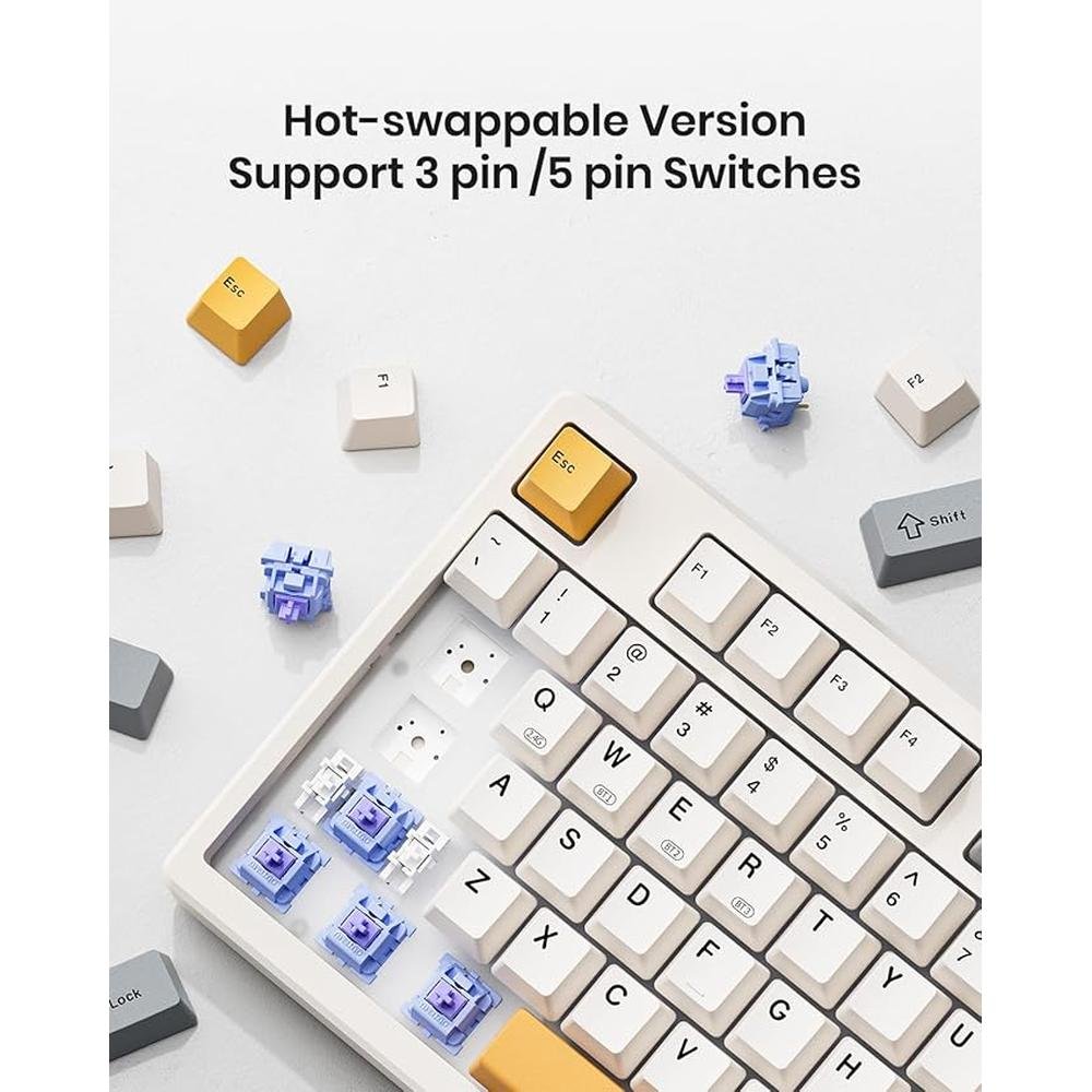 Mechanical Keyboard: Wireless Gasket Mounted with Creamy – Close-up Detail