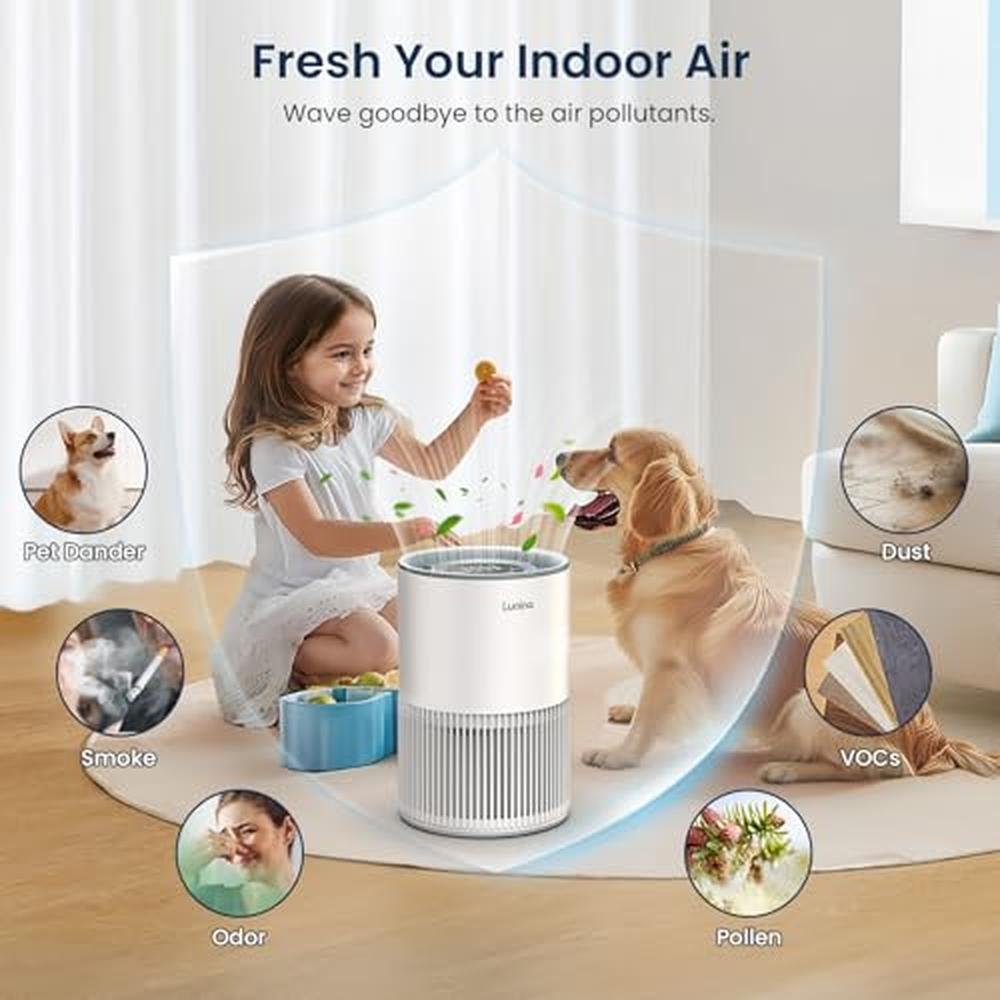 Air Purifiers for Home: LUNINO H13 True HEPA Air Purifier – In Use