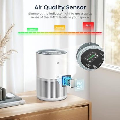 Air Purifiers for Home: LUNINO H13 True HEPA Air Purifier – Packaging