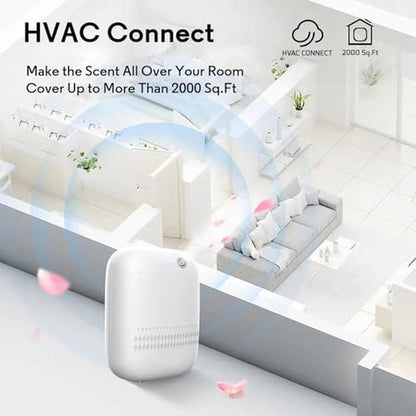 Air Home Purification: BAIESHIJI Upgraded Scent Air Machine – In Use