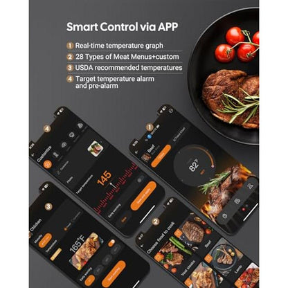 Meat Thermometer: Fitflavor Bluetooth Dual Probes WiFi – Packaging