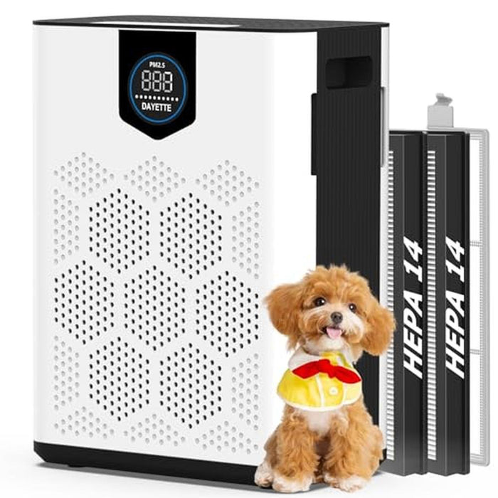 Air Purifiers: DAYETTE AP303 Large Room Up to 3000ft with – Front View
