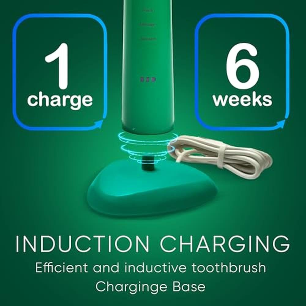 Toothbrush Big: Dr Bobbi Big Mouth Electric Toothbrush – Packaging