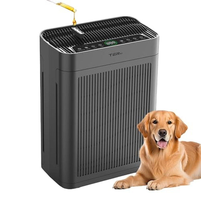 Air Purifiers for Home: Large Room up to 3000 sq ft with – Front View