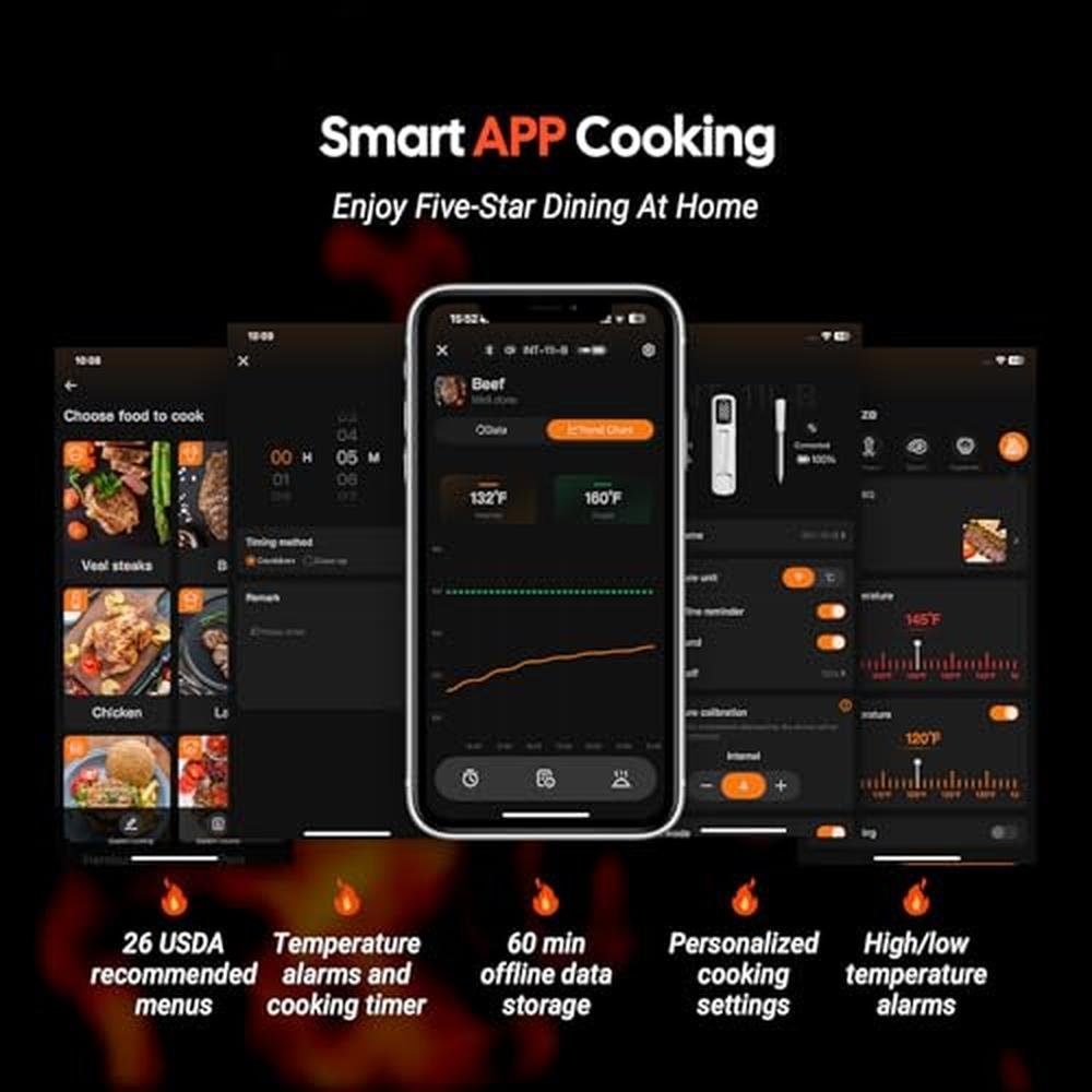 Inkbird Meat Thermometer: Inkbird Mini Wireless Bluetooth – In Use