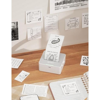 Sticker Printer: iDPRT Mini Portable Thermal Printer with 1 – Packaging