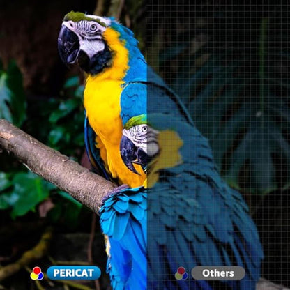 Projector WiFi: Pericat 200 ANSI 1080P HD Movie Projector – Close-up Detail