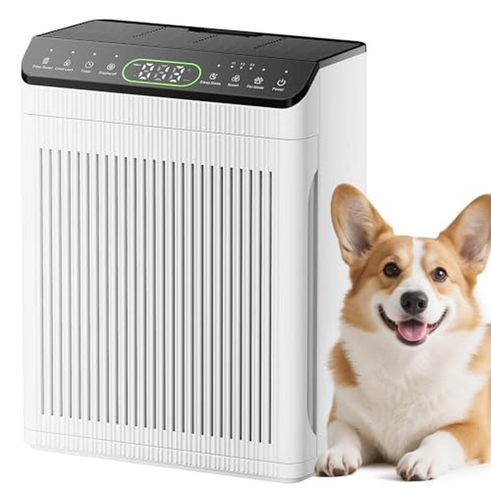 Air Purifiers: EVALIT Air Purifier for Home Large Room up – Front View