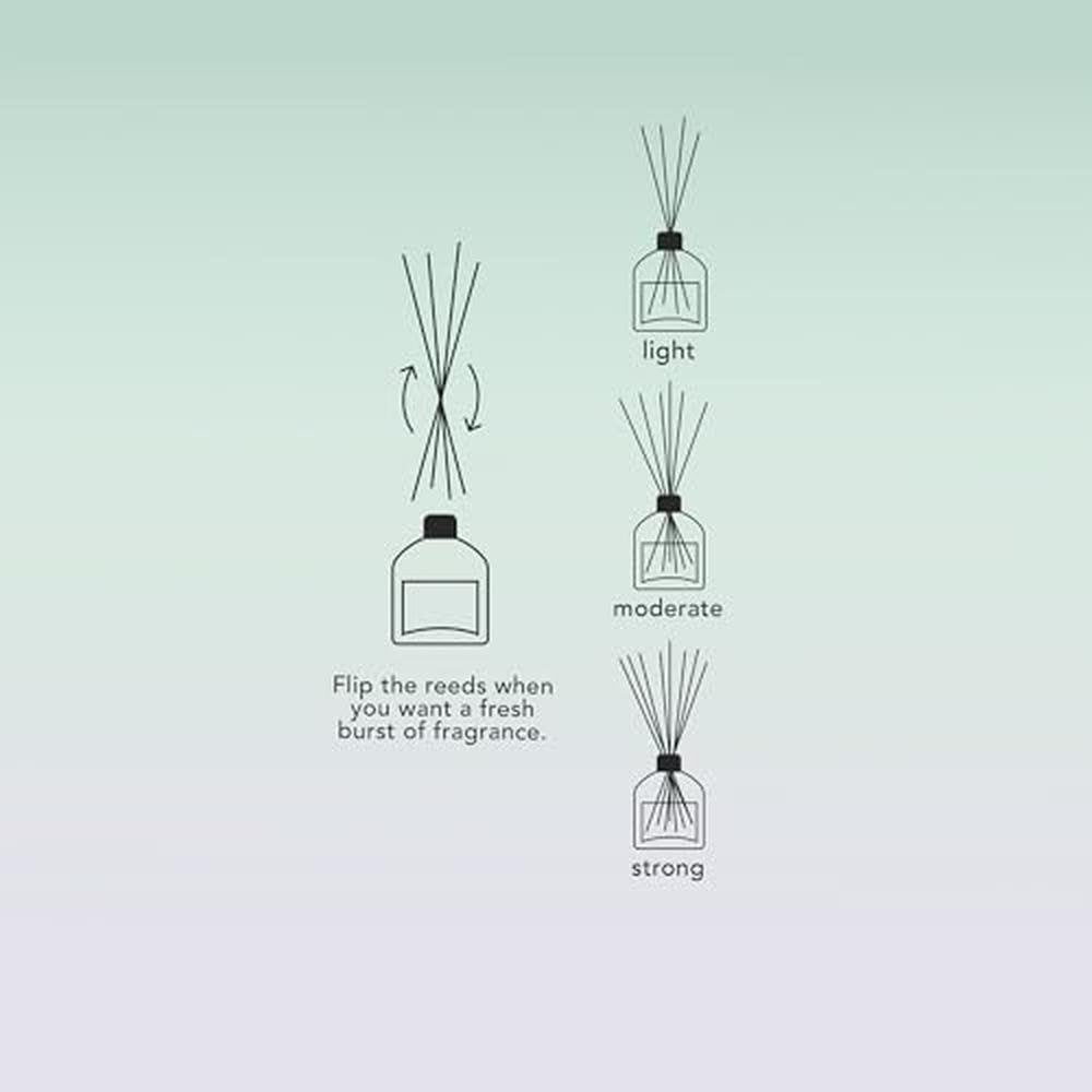 Luxury Reed Diffusers: Fresh Horizon – In Use