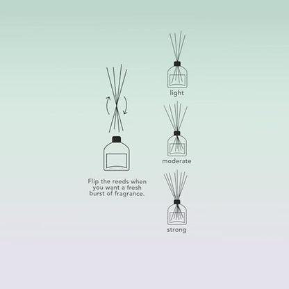 Luxury Reed Diffusers: Fresh Horizon – In Use