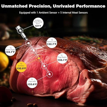 Meat Thermometer: Smart Bluetooth Wireless Digital – Close-up Detail